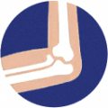 Elbows — joint area Hondrexil is aimed at